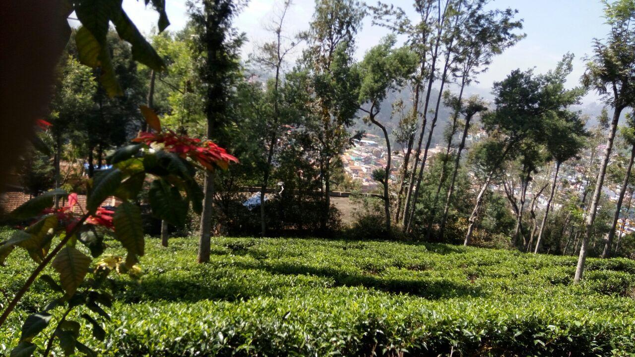 Ywca Wyoming Hotel Coonoor Eksteriør billede